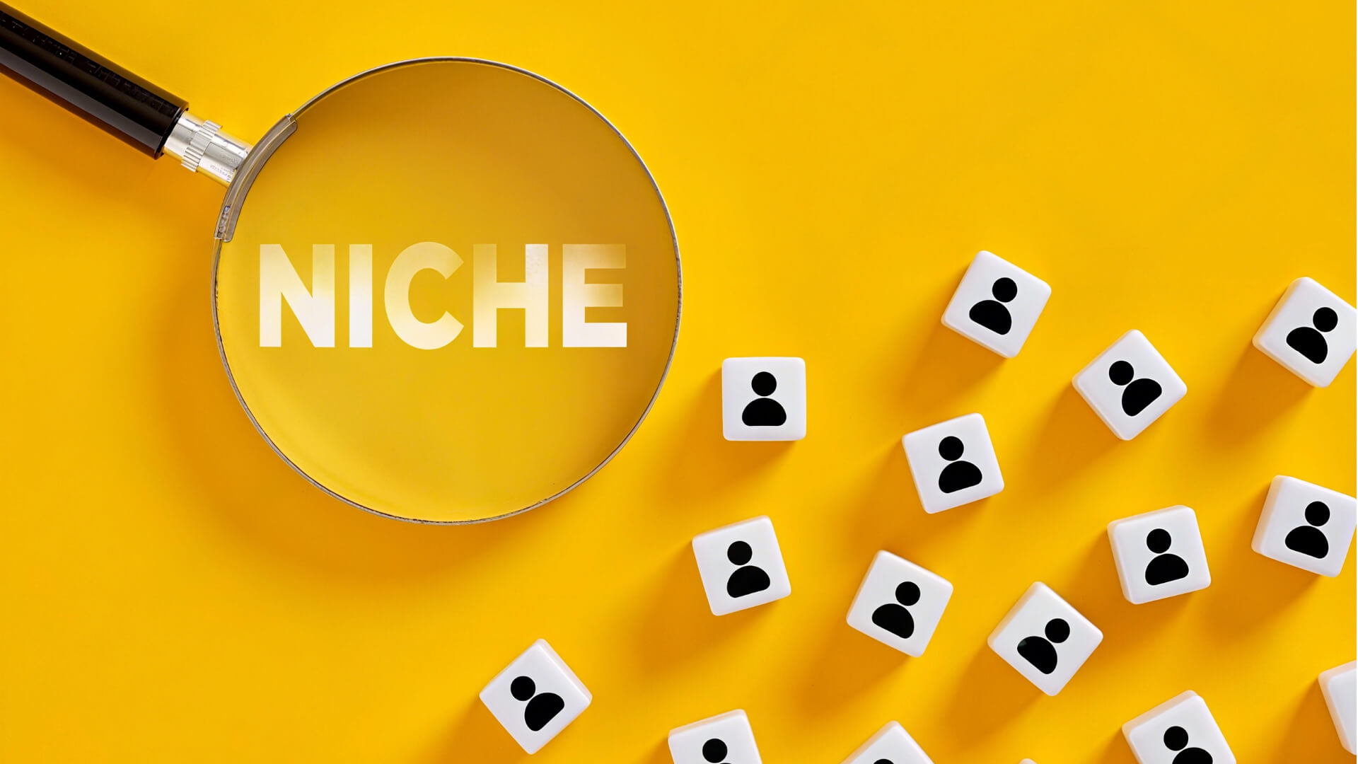 find niche